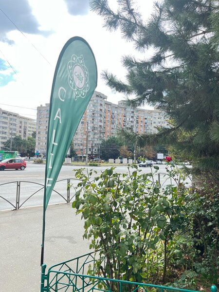 Piata Iancului, proprietar,